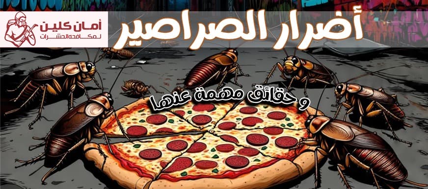 اضرار الصراصير و حقائق مهمة عنها